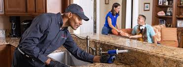 Best Residential Pest Control  in Brazil, IN